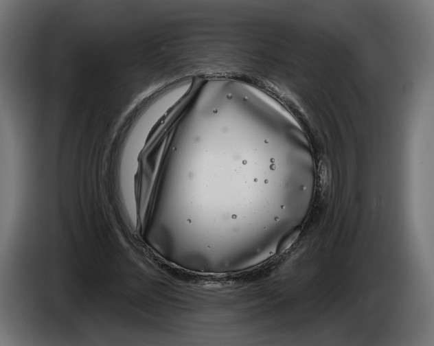X0000086100684200704132148