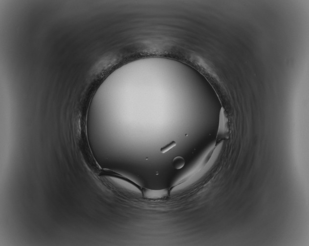 X0000086100685200704132148