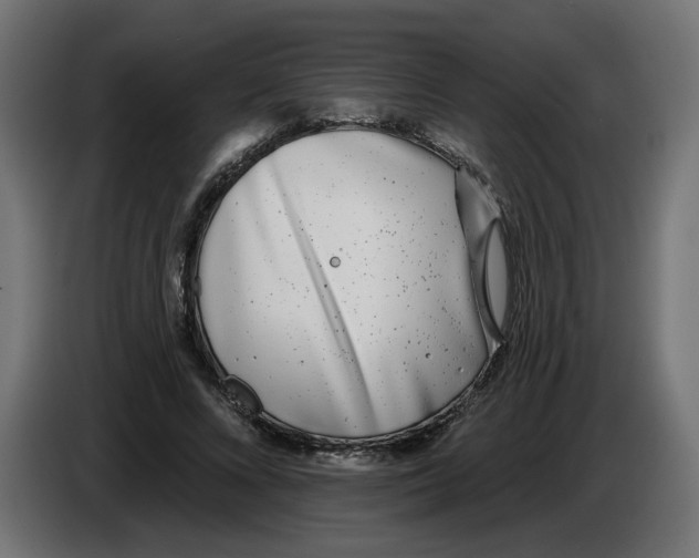 X0000086100688200704132148