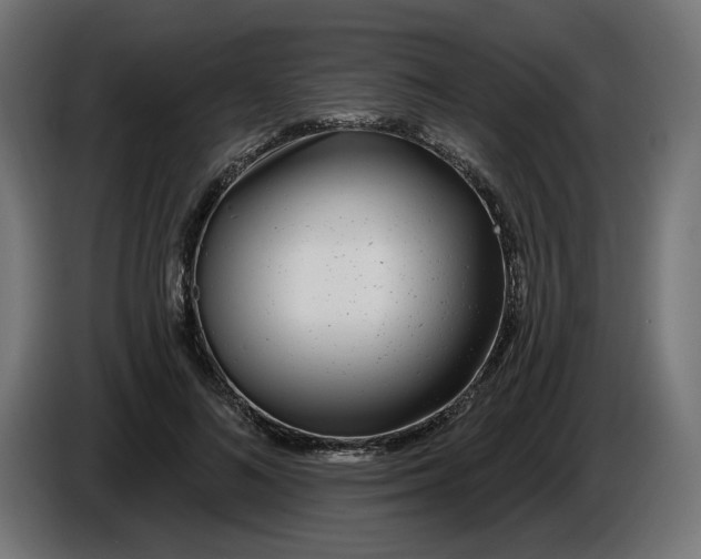 X0000086100692200704132148