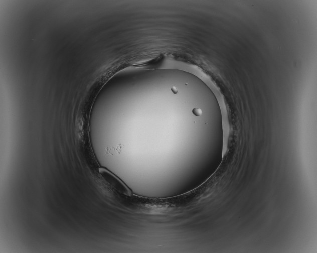X0000086100693200704132148