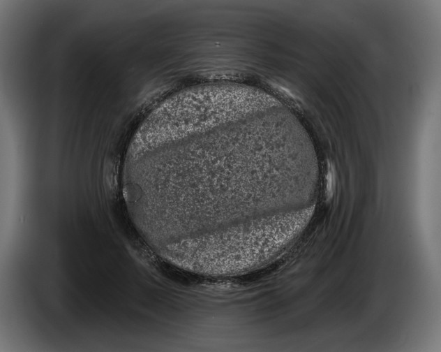 X0000086100695200704132148