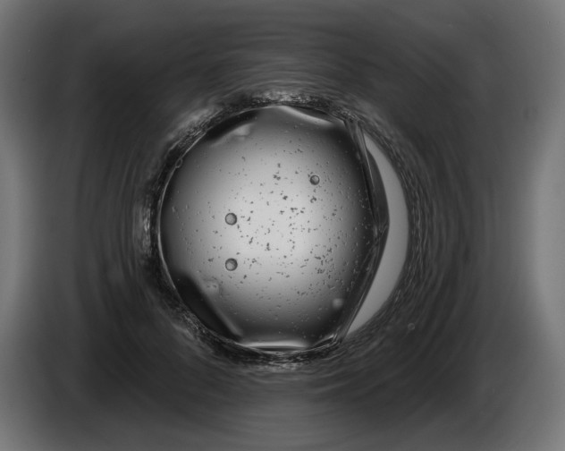 X0000086100696200704132148