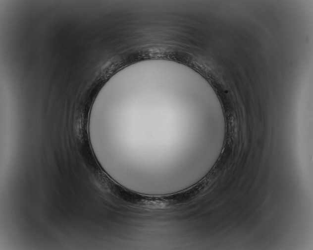 X0000086100698200704132148