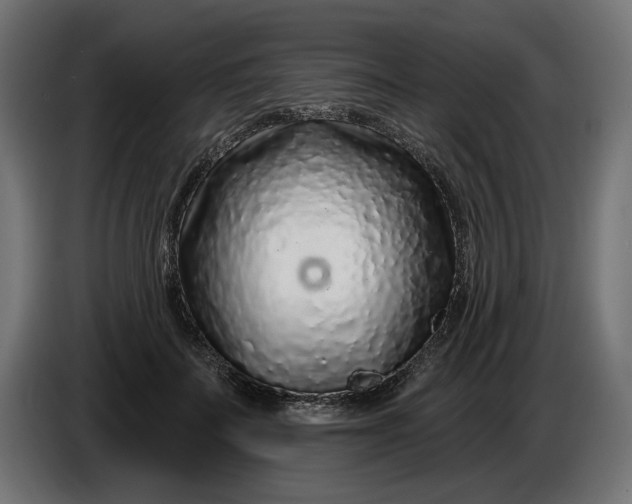 X0000086100699200704132148