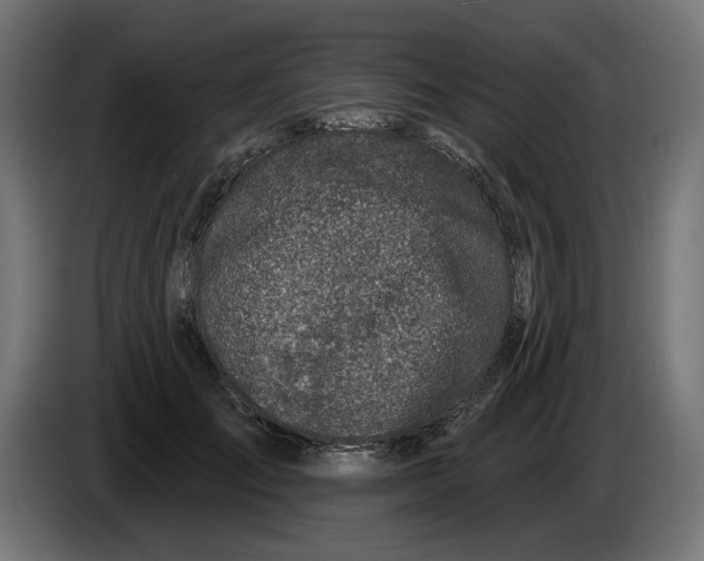 X0000086100701200704132147