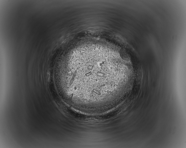 X0000086100703200704132147
