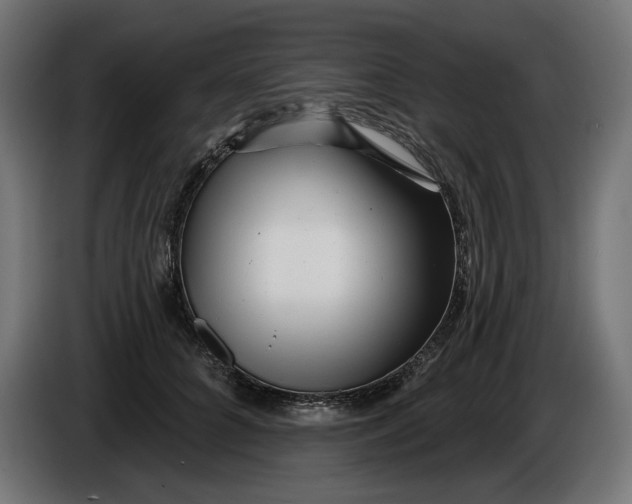 X0000086100704200704132147
