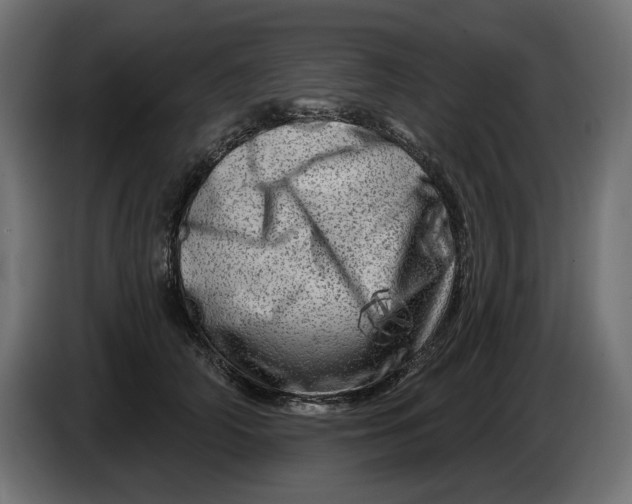 X0000086100706200704132147