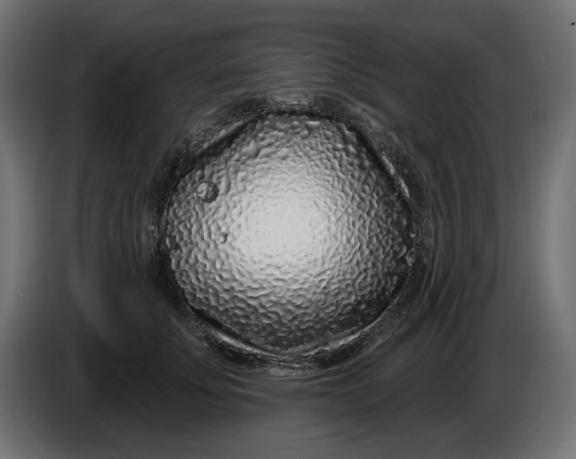 X0000086100707200704132147