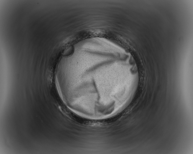 X0000086100710200704132147