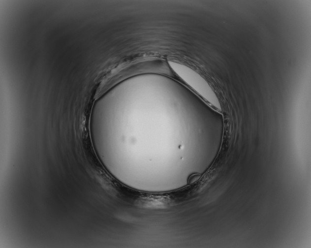 X0000086100711200704132147