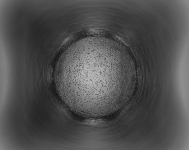 X0000086100712200704132147