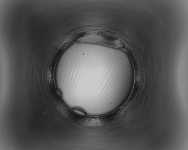 X0000086100715200704132147