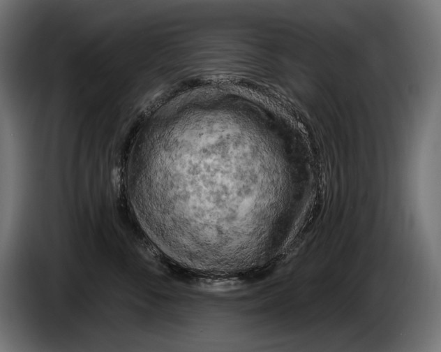 X0000086100716200704132147