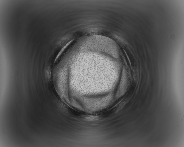 X0000086100718200704132147