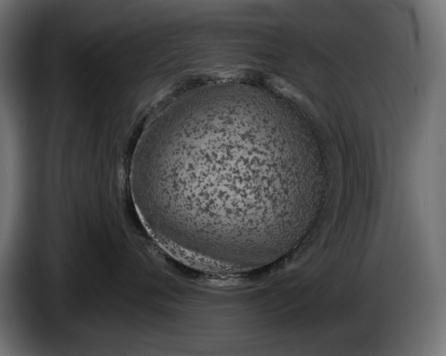 X0000086100720200704132147