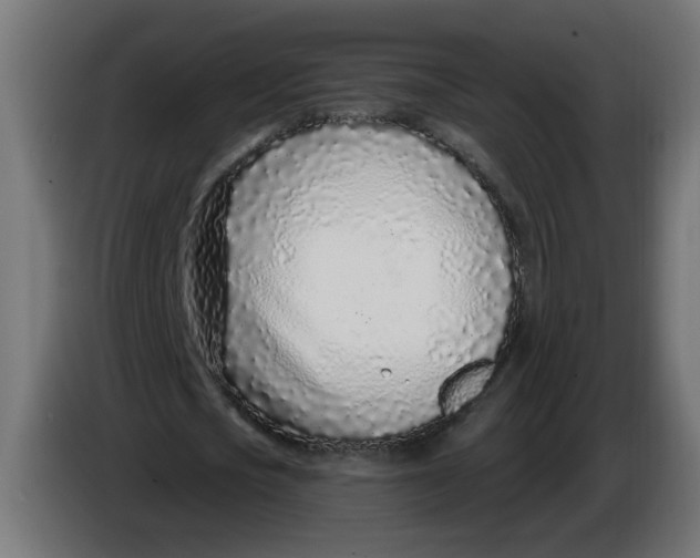 X0000086100721200704132147
