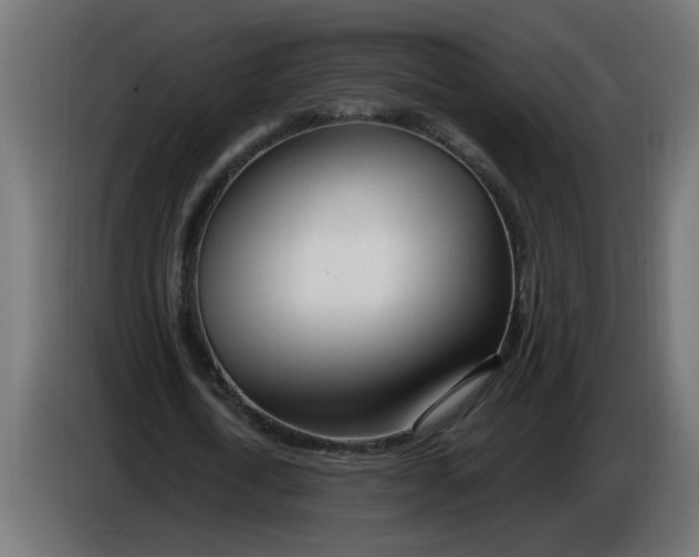 X0000086100722200704132147