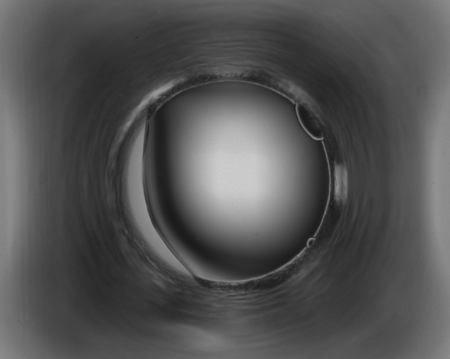 X0000086100723200704132147