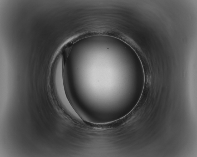 X0000086100724200704132147