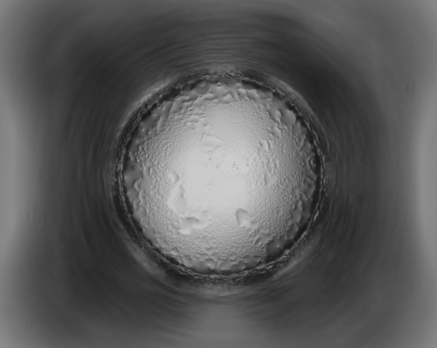X0000086100725200704132147