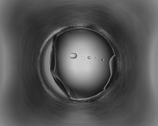 X0000086100726200704132147