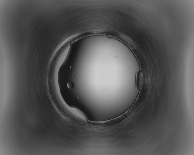 X0000086100728200704132147