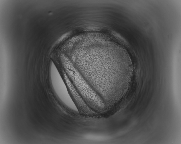 X0000086100729200704132147