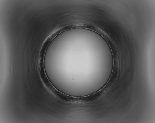 X0000086100730200704132147