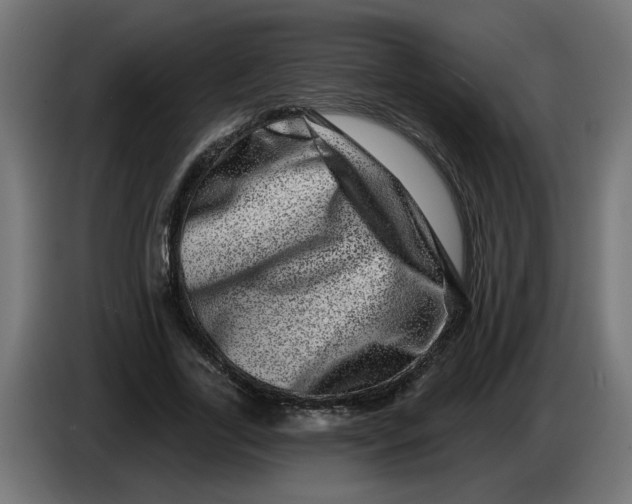 X0000086100731200704132147