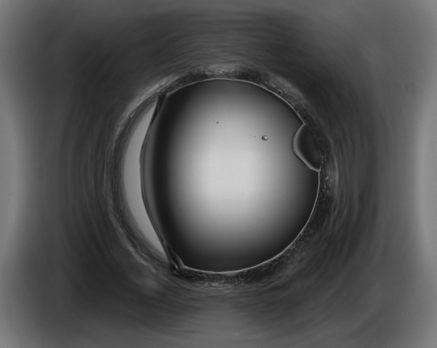 X0000086100732200704132147