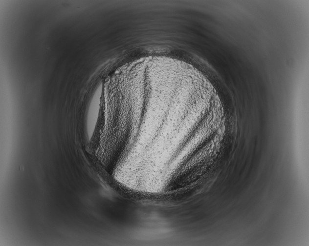 X0000086100733200704132147