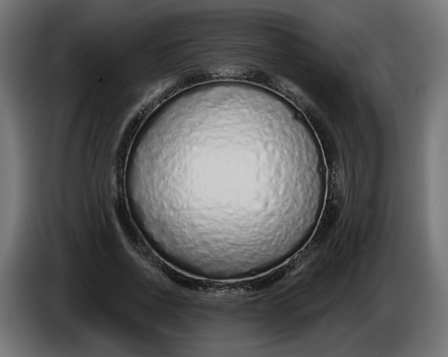X0000086100734200704132147