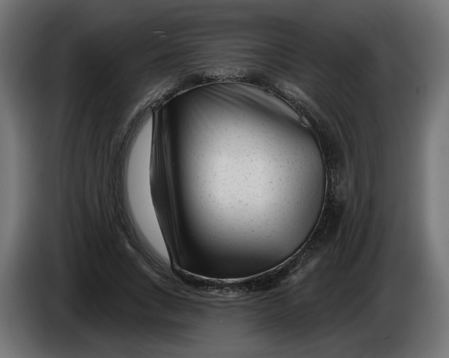 X0000086100735200704132147