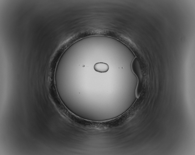 X0000086100736200704132147