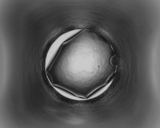 X0000086100738200704132147