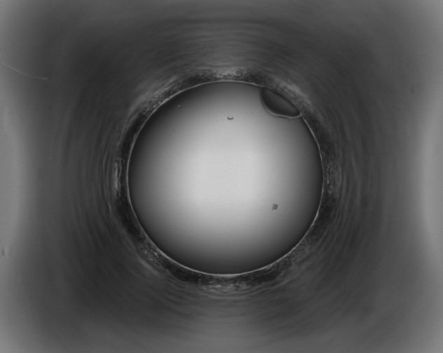 X0000086100740200704132147