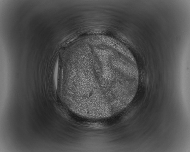 X0000086100741200704132147