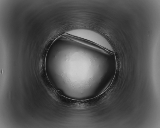 X0000086100742200704132147