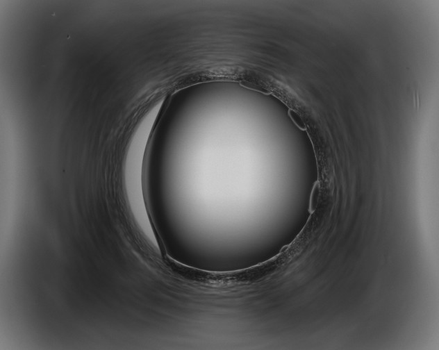 X0000086100744200704132147