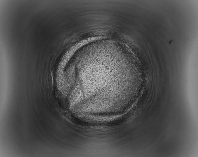 X0000086100745200704132147