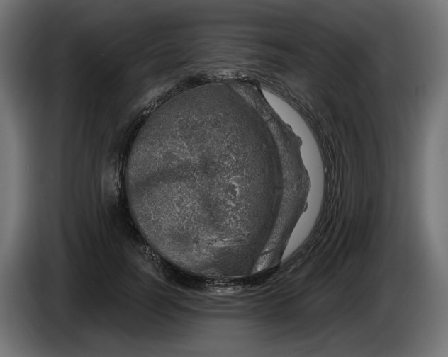 X0000086100746200704132147