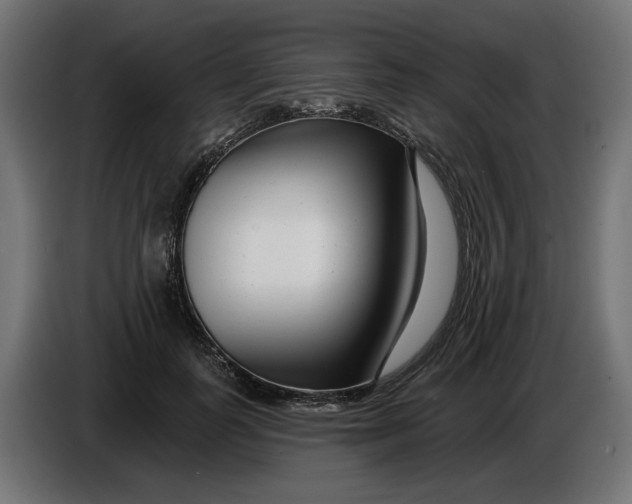 X0000086100747200704132147