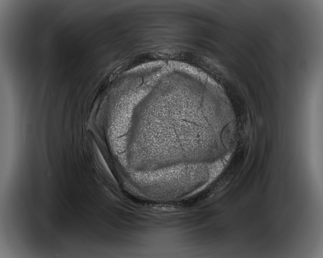 X0000086100749200704132147