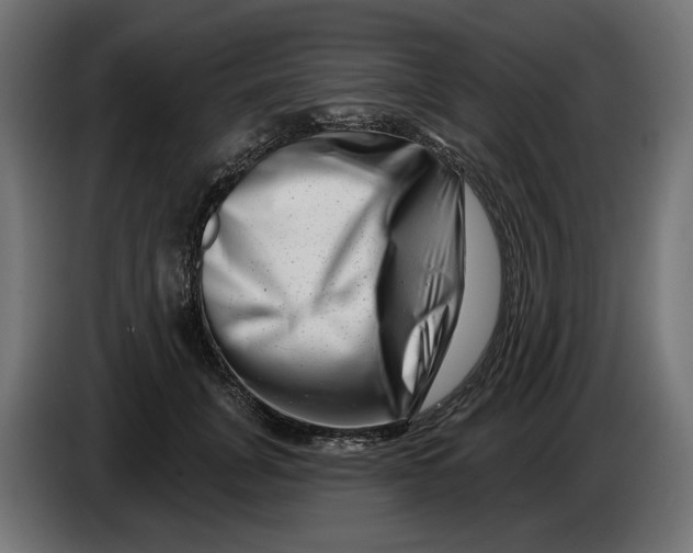 X0000086100751200704132147