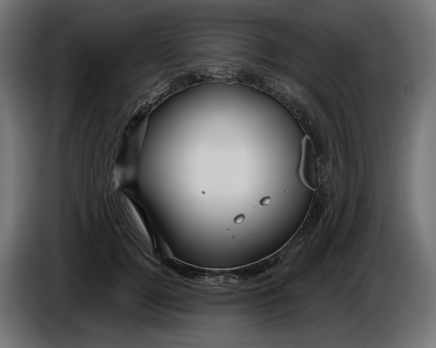X0000086100752200704132147