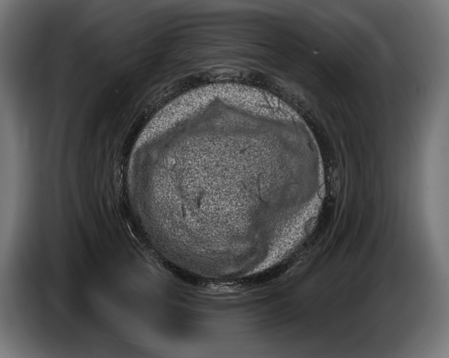 X0000086100753200704132147