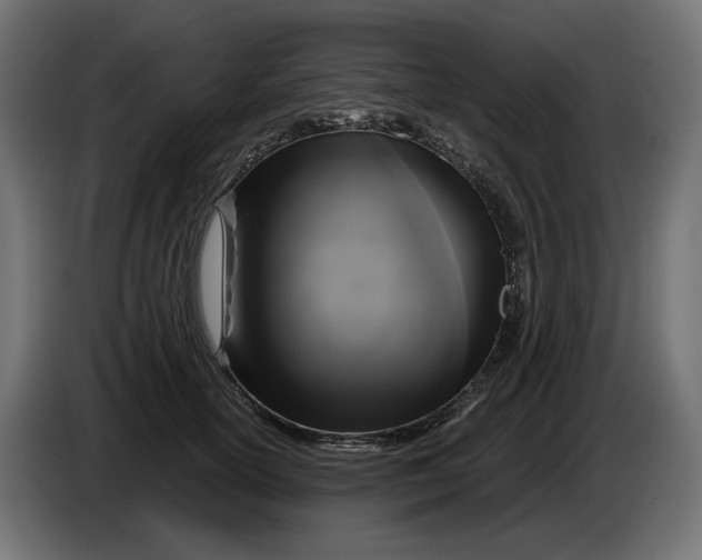 X0000086100754200704132147