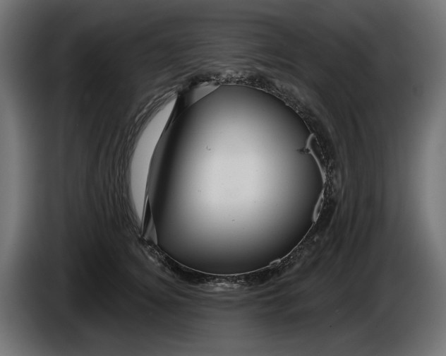 X0000086100756200704132147